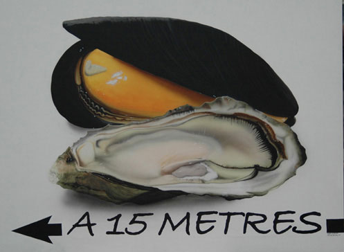 huitre et moule